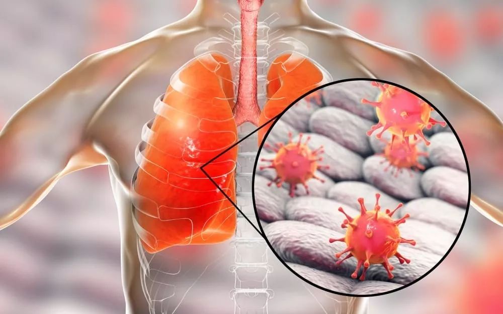 关于今晚罗马豪取连胜:英超节点到来;更衣室稳定;医务组通报恢复的信息 关于今晚罗马豪取连胜:英超节点到来;更衣室稳定;医务组通报恢复的信息